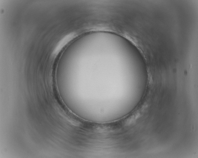 X0000074300199200609151950