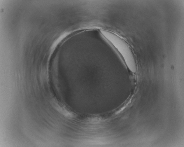 X0000074300200200609151950