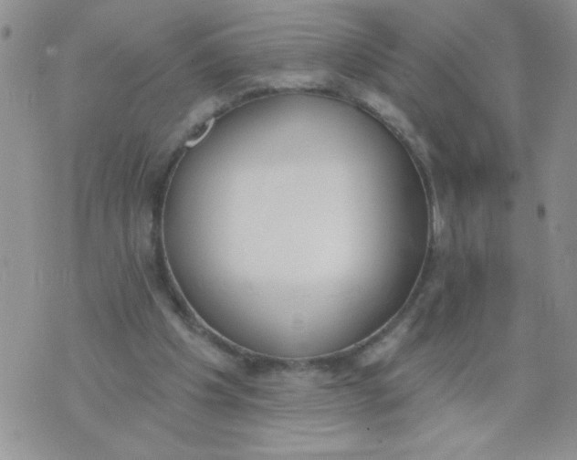 X0000074300201200609151950