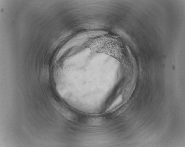 X0000074300202200609151950