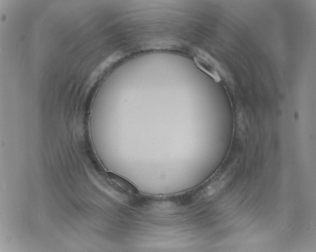 X0000074300203200609151950