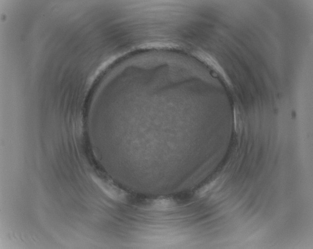 X0000074300204200609151950