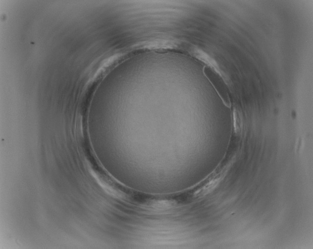 X0000074300205200609151950