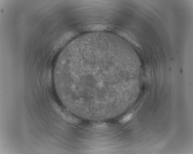 X0000074300206200609151950