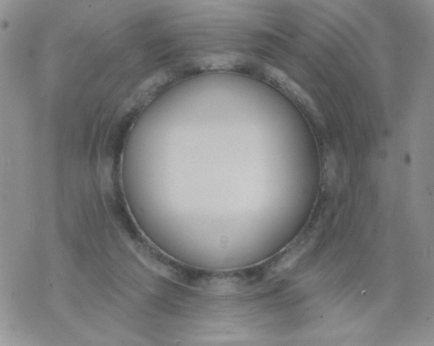 X0000074300209200609151950