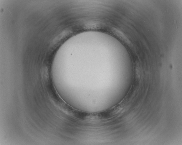 X0000074300211200609151950