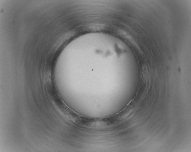 X0000074300212200609151950