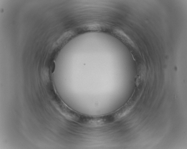 X0000074300213200609151950