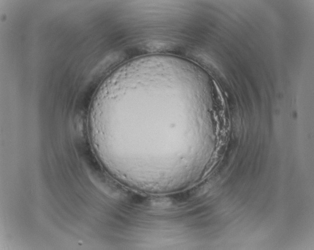 X0000074300214200609151950