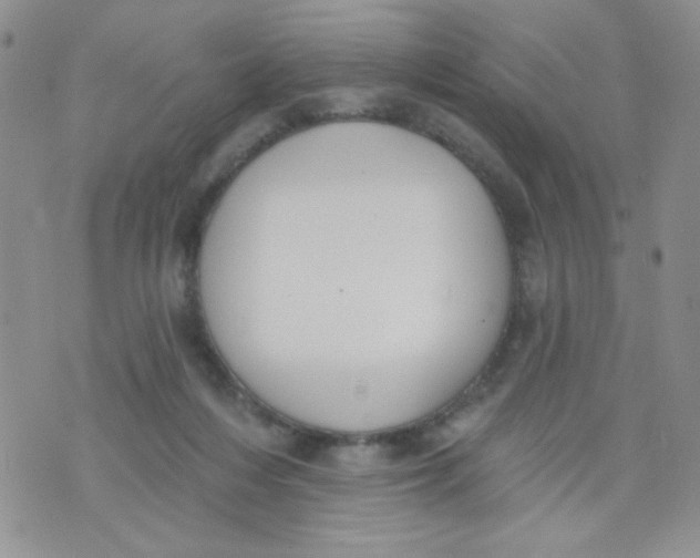 X0000074300216200609151950