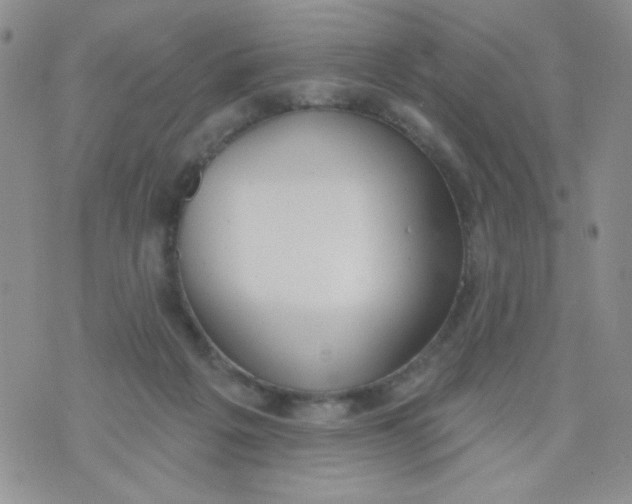 X0000074300217200609151950