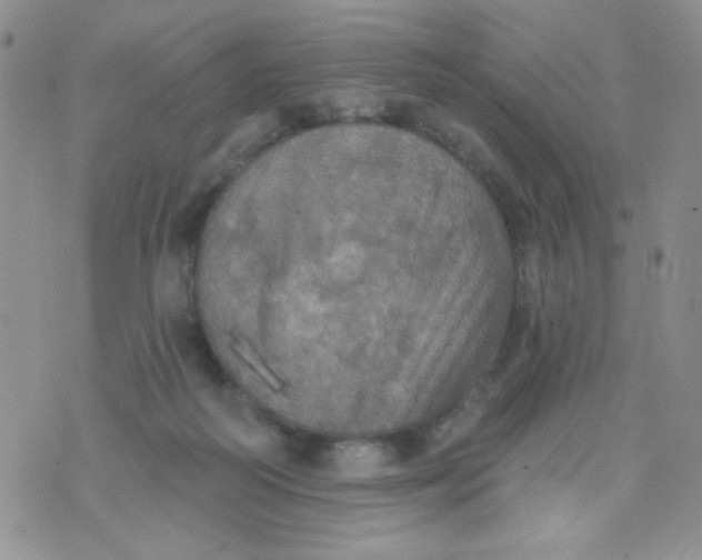 X0000074300218200609151950