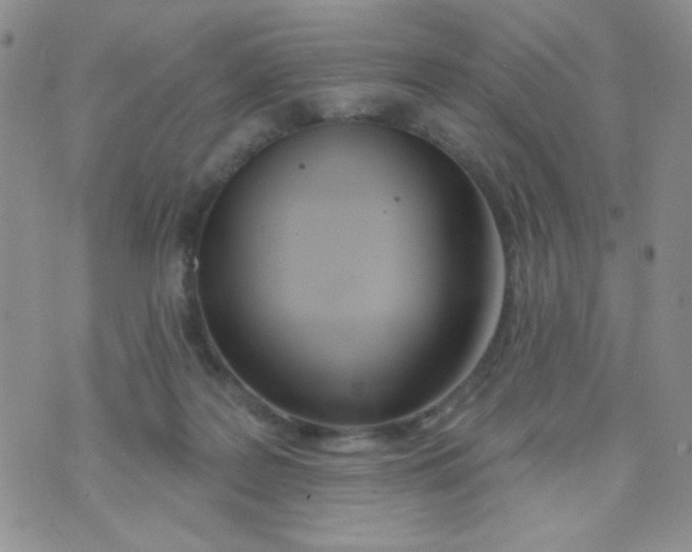 X0000074300219200609151950