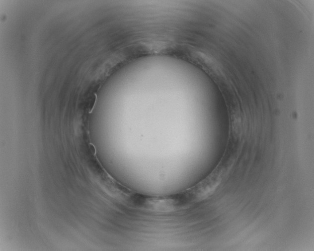 X0000074300221200609151950