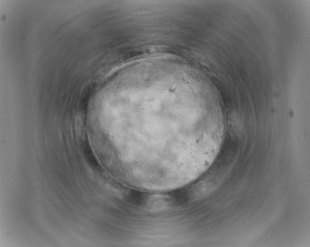 X0000074300222200609151950