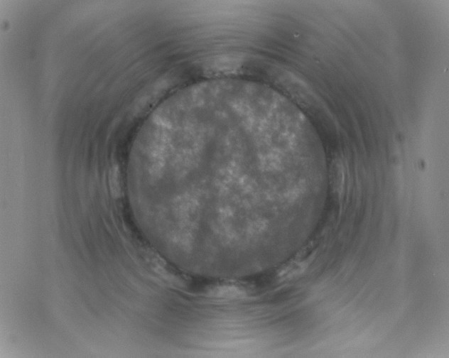 X0000074300224200609151950