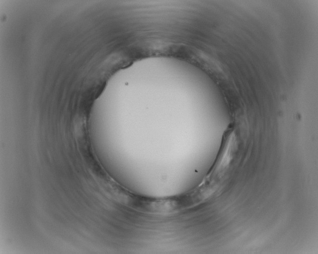 X0000074300225200609151950