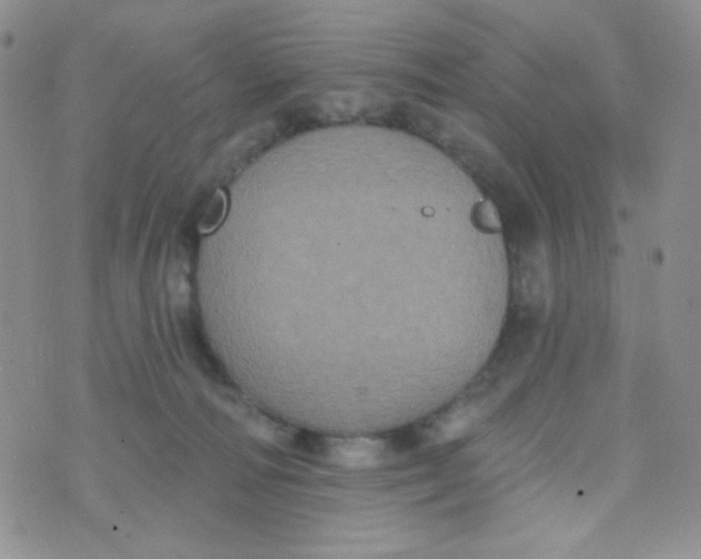 X0000074300226200609151950