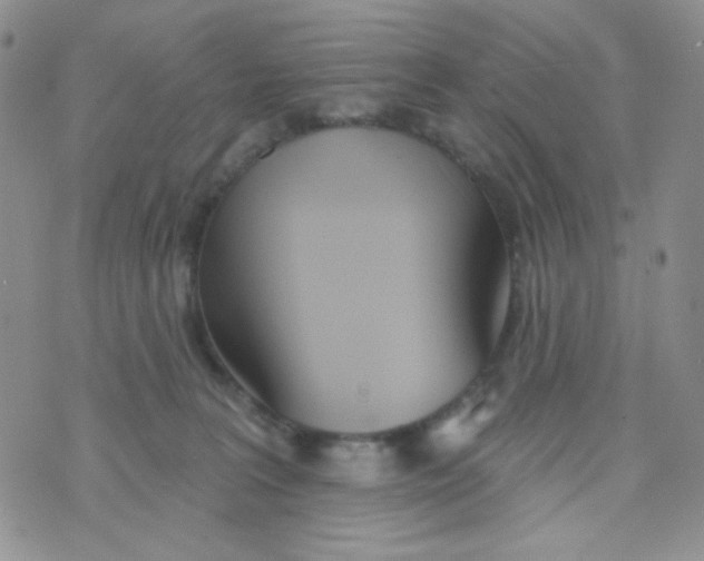 X0000074300227200609151950