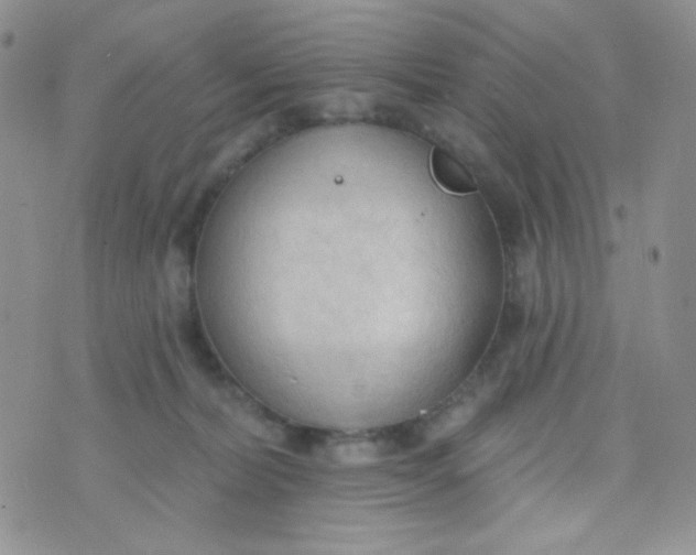 X0000074300228200609151950