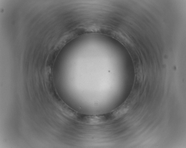 X0000074300229200609151950