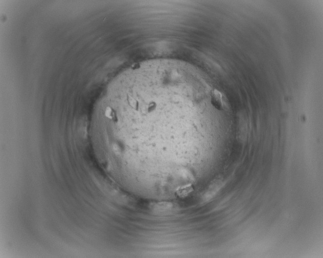 X0000074300230200609151950