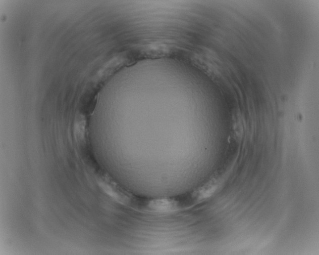 X0000074300231200609151950