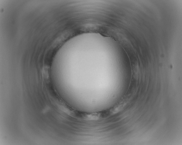 X0000074300232200609151950