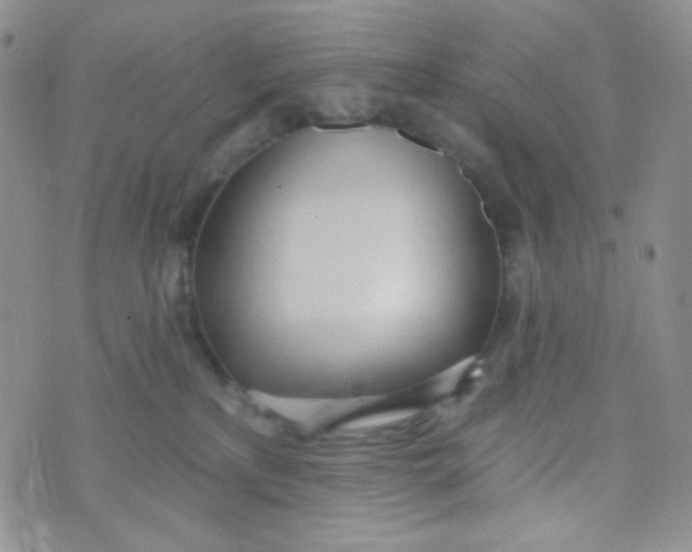 X0000074300233200609151950