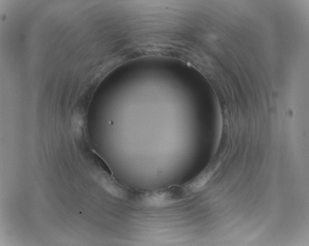 X0000074300235200609151949