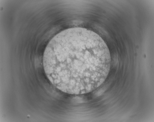 X0000074300236200609151949