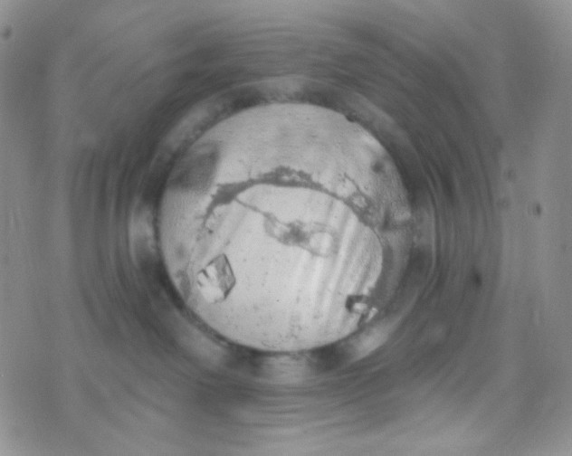 X0000074300238200609151949