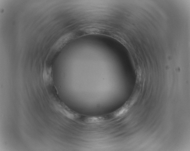 X0000074300239200609151949