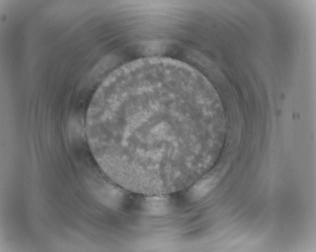 X0000074300240200609151949