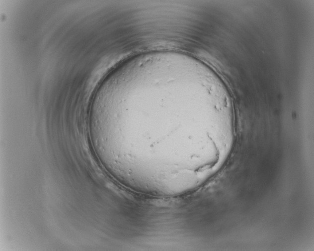 X0000074300241200609151949