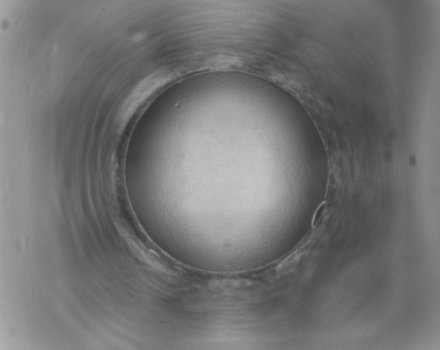 X0000074300242200609151949