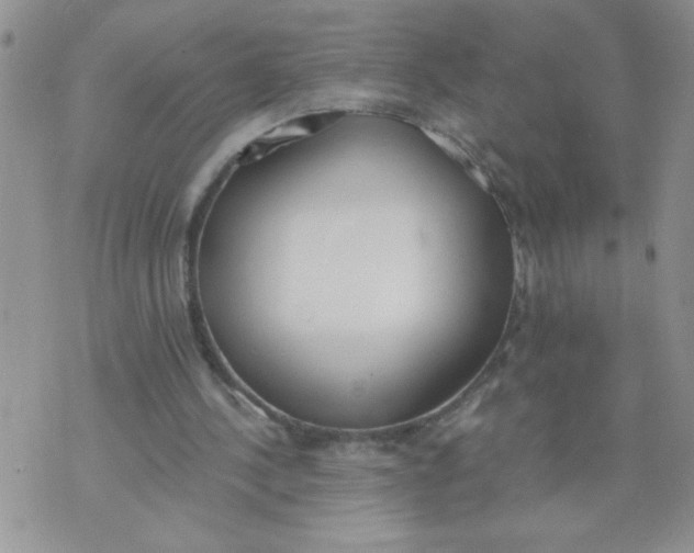 X0000074300244200609151949