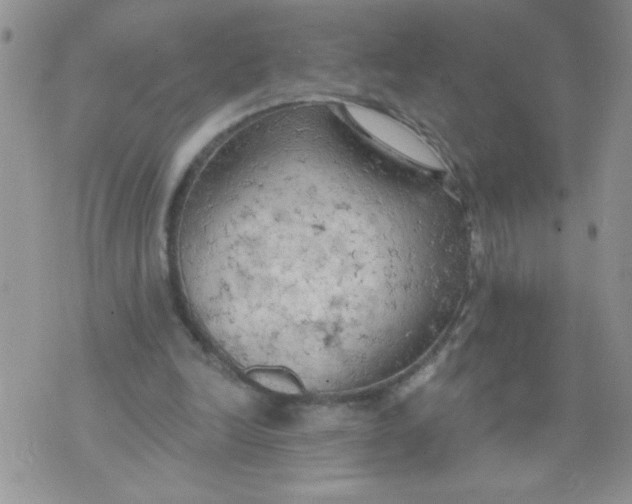 X0000074300246200609151949