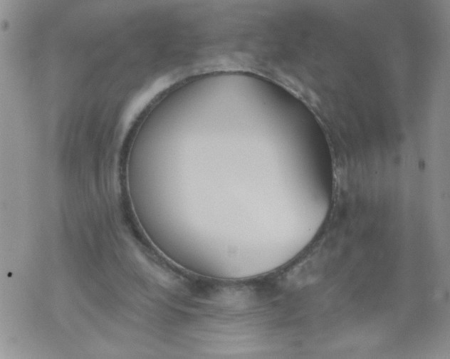 X0000074300248200609151949