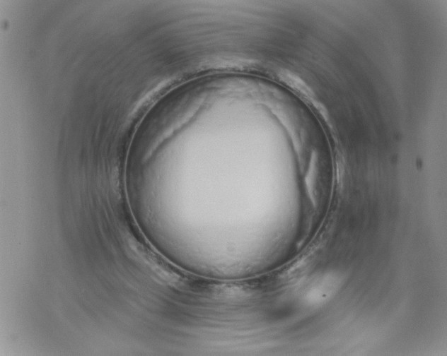 X0000074300249200609151949