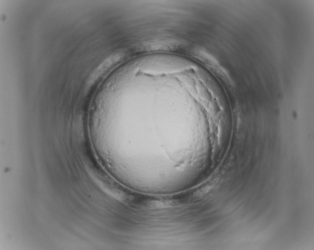 X0000074300250200609151949