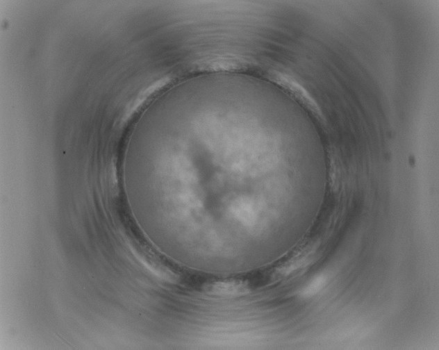 X0000074300251200609151949