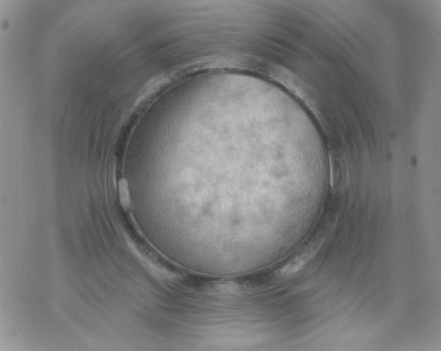 X0000074300253200609151949