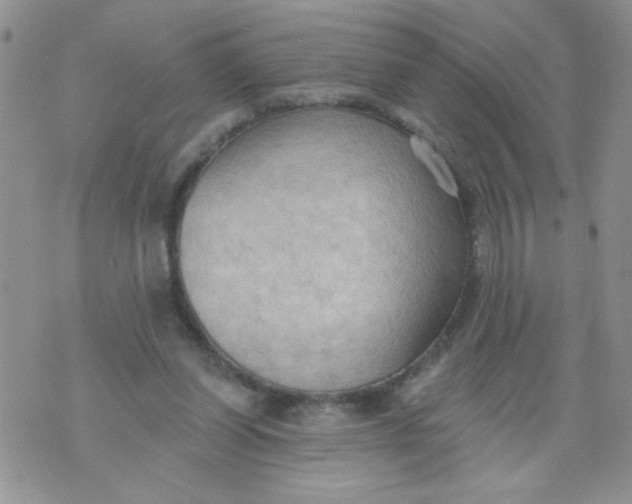 X0000074300254200609151949