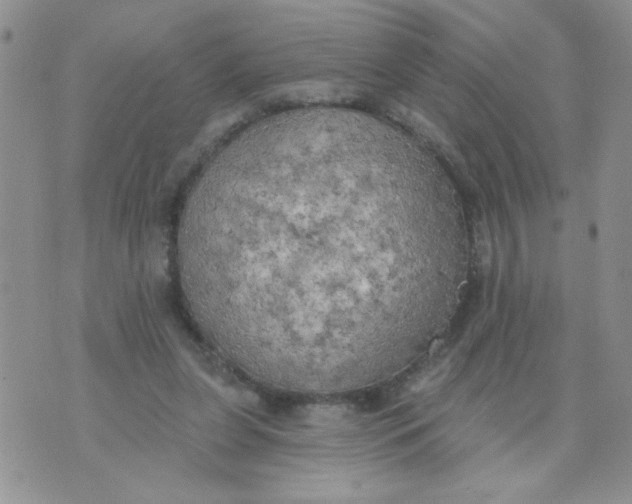 X0000074300255200609151949