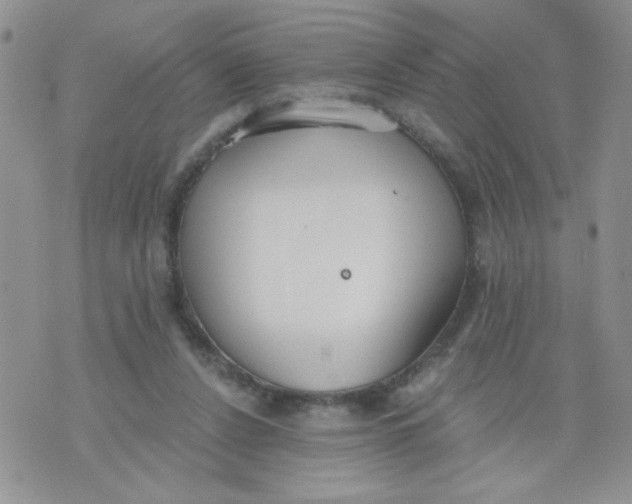 X0000074300256200609151949