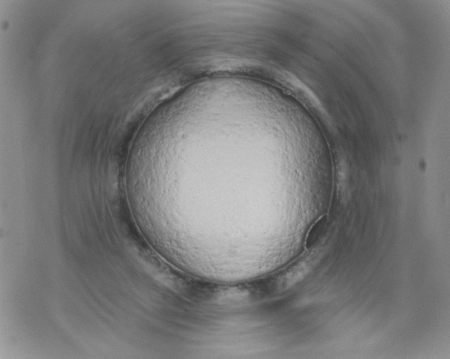 X0000074300257200609151949