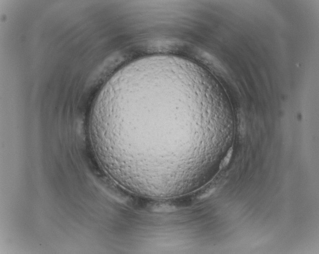 X0000074300258200609151949