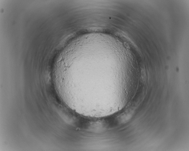 X0000074300259200609151949