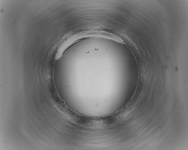 X0000074300260200609151949